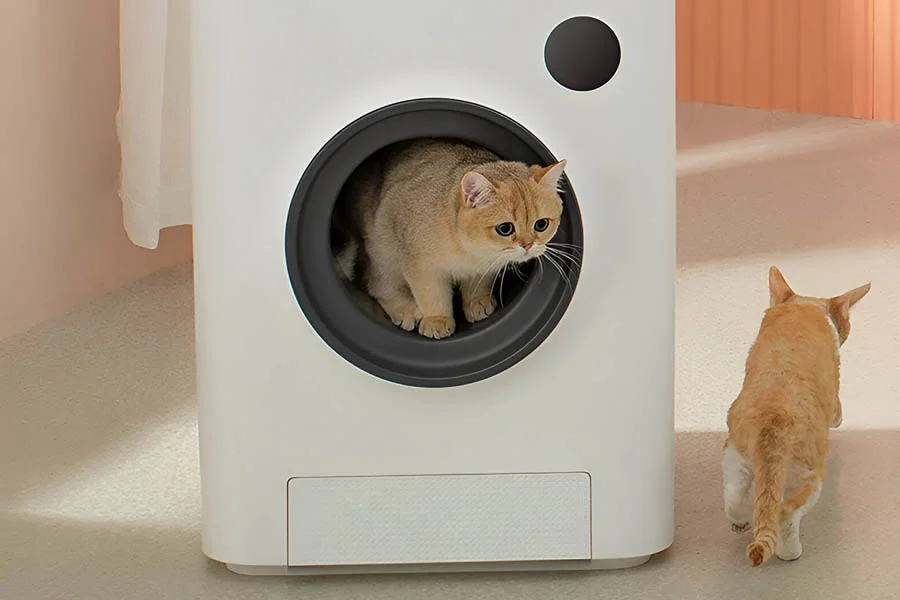 best rated self cleaning cat litter boxes